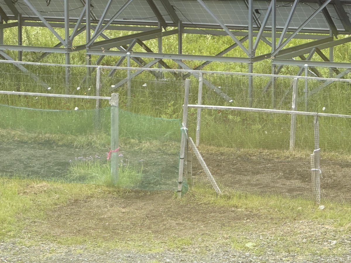 草取りと耕しが進んだ、わが家の畑