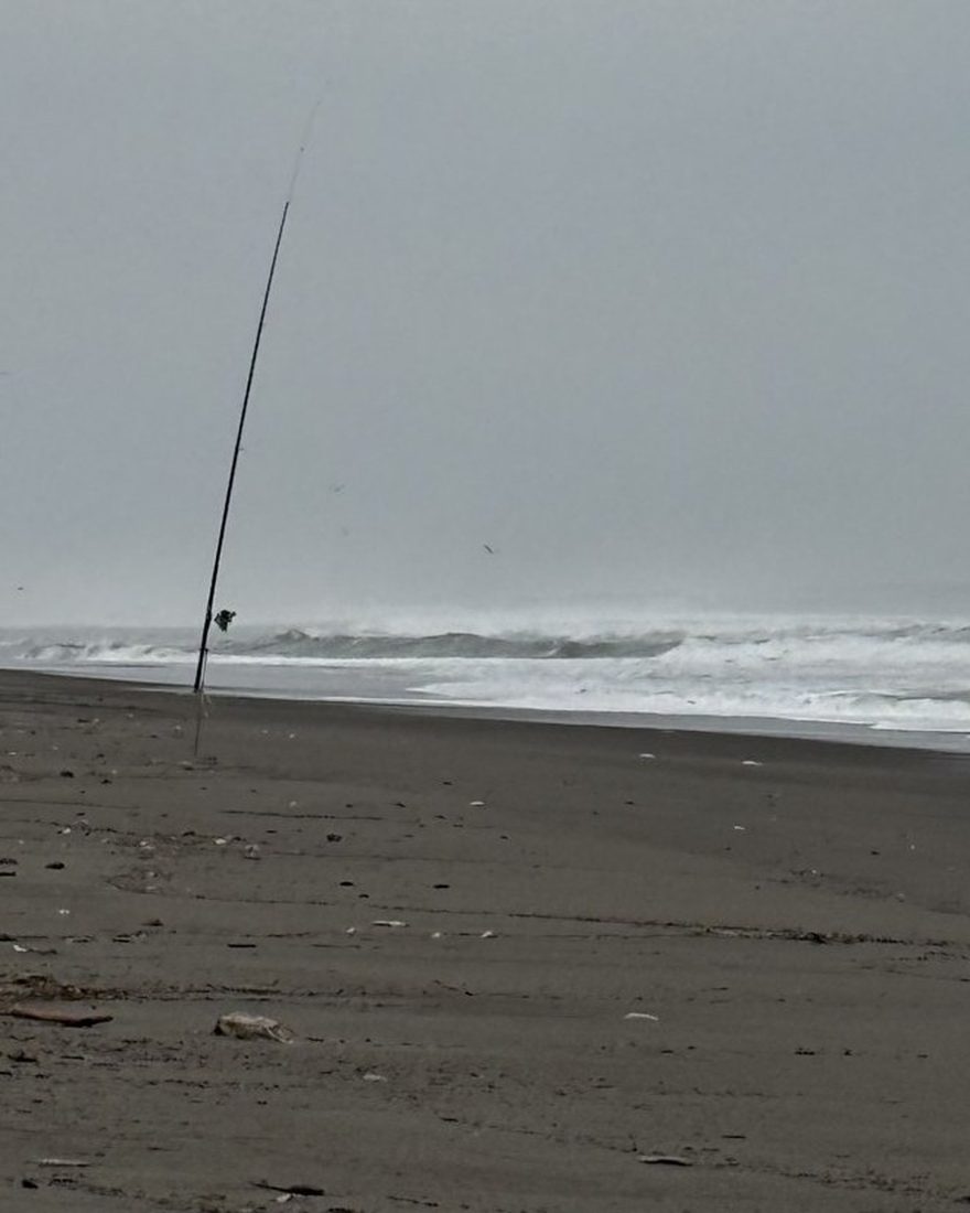 曇り空の下、波が寄せる浜と竿